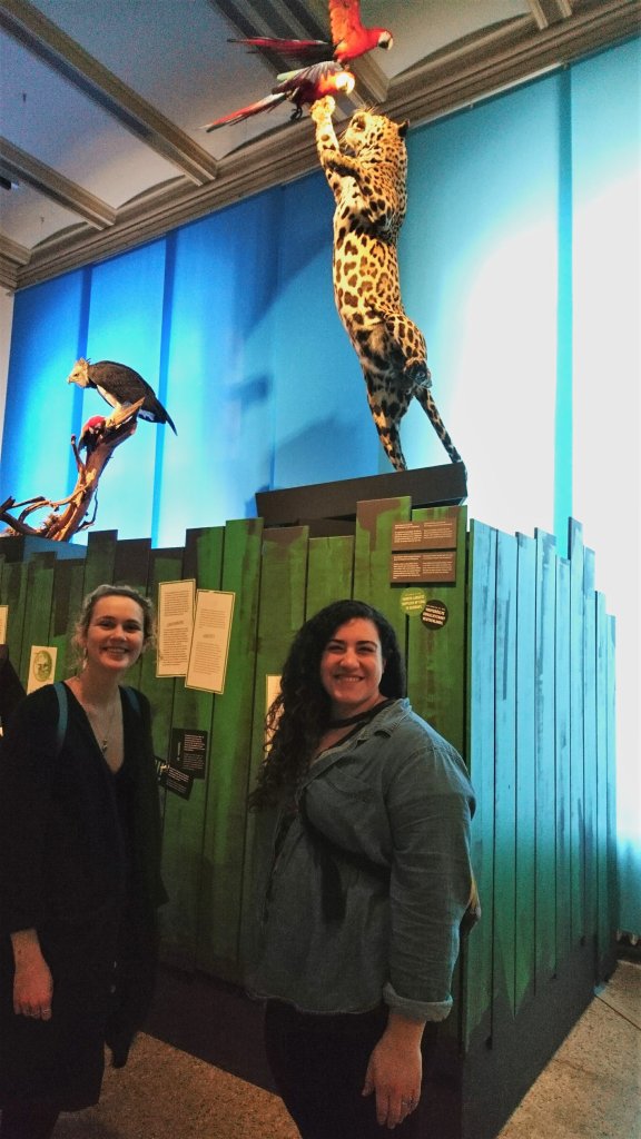 GCE students Lindsey Roche and Cait Salerno in front of the two natural predators of macaws - jaguar and harpy eagle