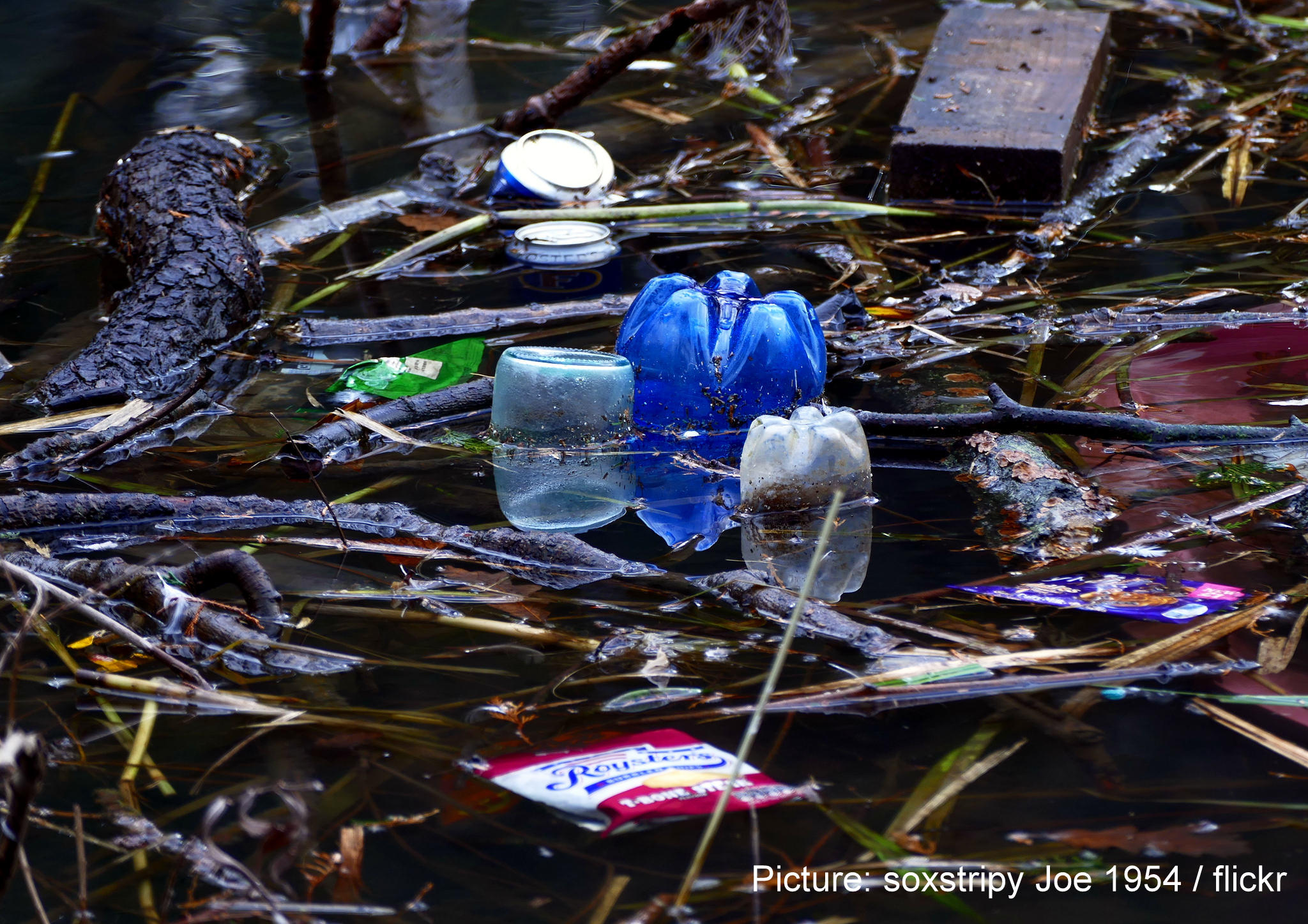 Source: soxstripy Joe 1954 / flickr